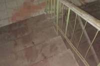 Пьяный россиянин расчленил бездомную собаку у дверей собственной квартиры